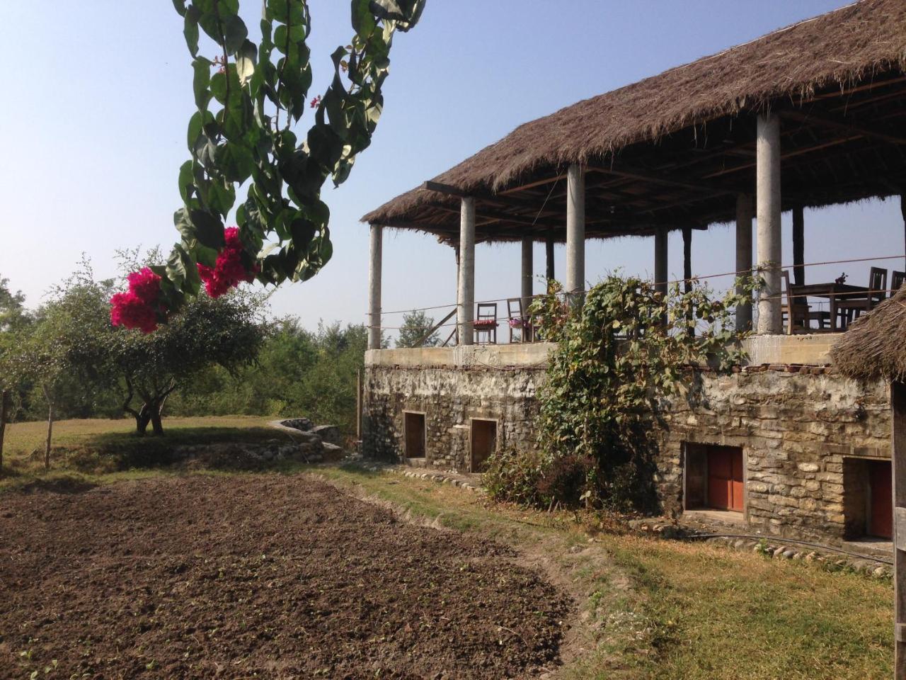 Shanta Ghar A Rustic Guesthouse 奇旺 外观 照片