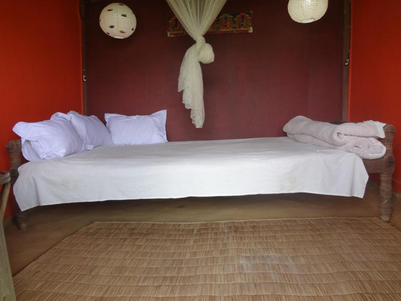 Shanta Ghar A Rustic Guesthouse 奇旺 外观 照片