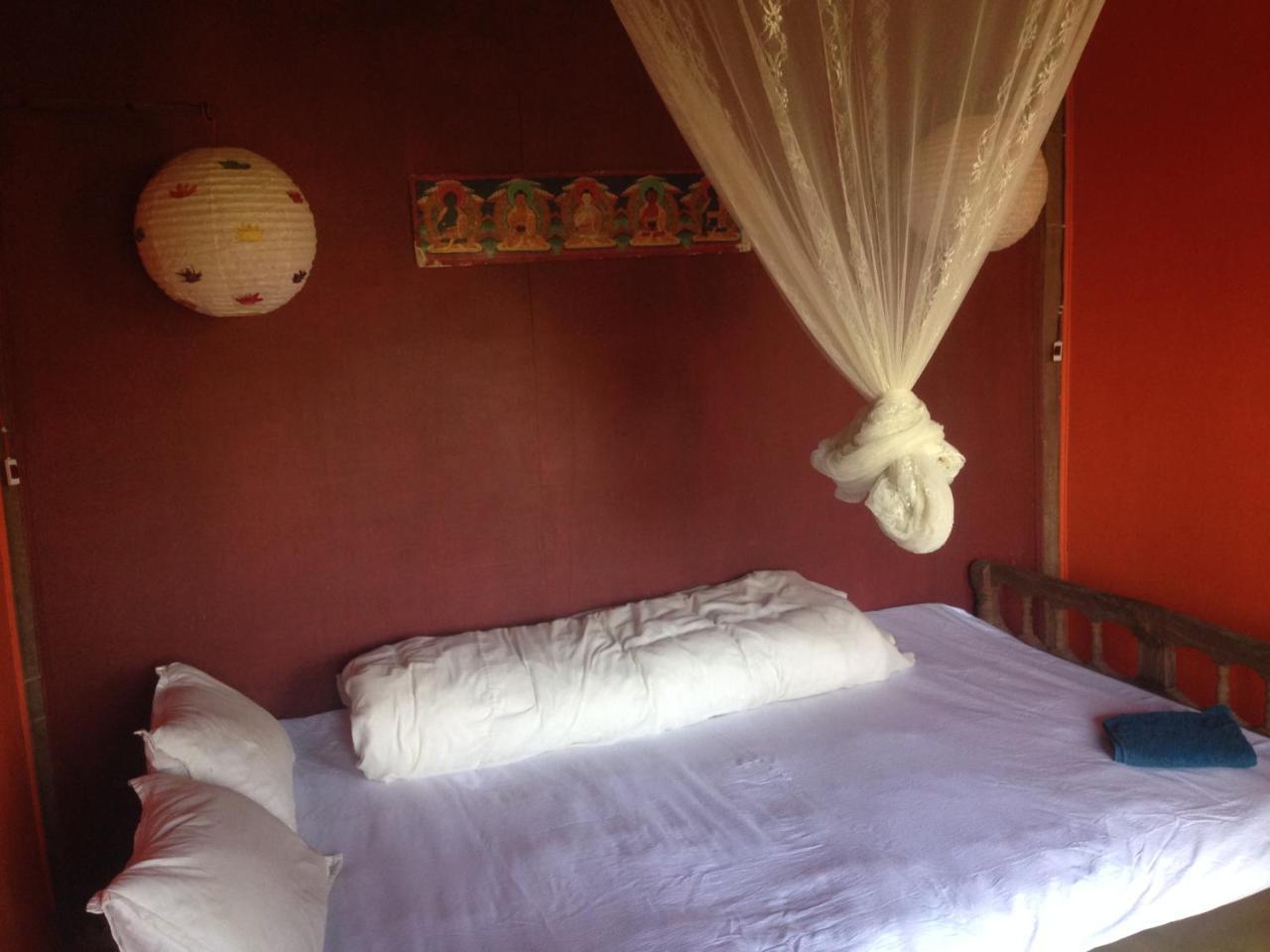 Shanta Ghar A Rustic Guesthouse 奇旺 外观 照片